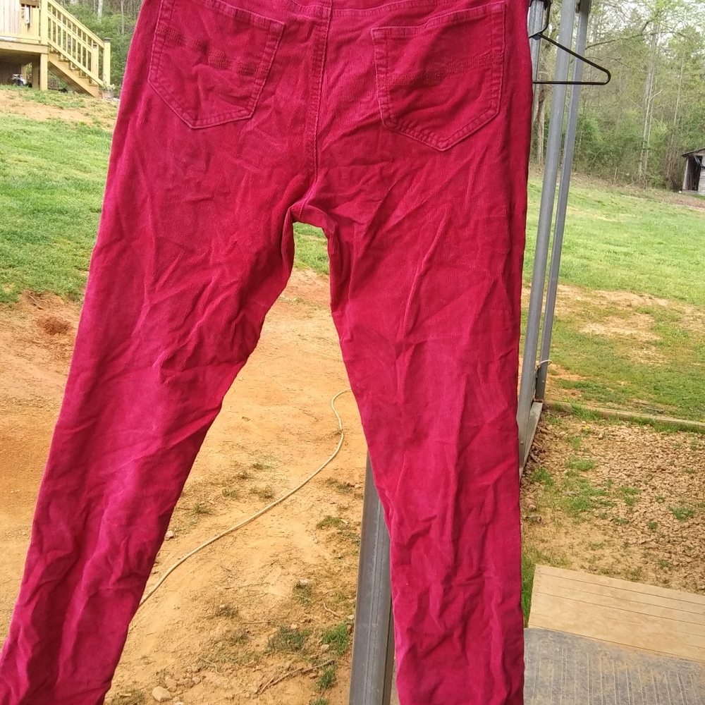 Pink Pants